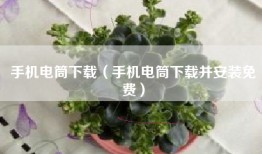 手机电筒下载（手机电筒下载并安装免费）