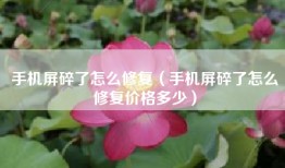 手机屏碎了怎么修复（手机屏碎了怎么修复价格多少）