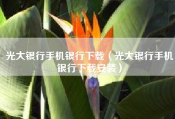 光大银行手机银行下载（光大银行手机银行下载安装）