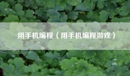 用手机编程（用手机编程游戏）