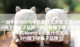 一加手机和OPPO手机是什么关系 它是OPPO旗下硬核子品牌一加手机属于哪个品牌「一加手机和OPPO手机是什么关系 它是OPPO旗下硬核子品牌」