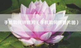 手机如何拼照片（手机如何拼照片图）