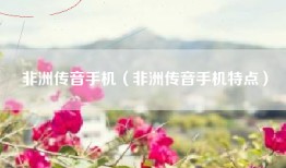 非洲传音手机（非洲传音手机特点）