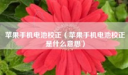 苹果手机电池校正（苹果手机电池校正是什么意思）