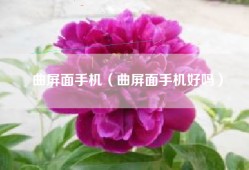 曲屏面手机（曲屏面手机好吗）