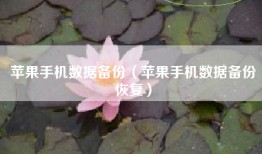 苹果手机数据备份（苹果手机数据备份恢复）