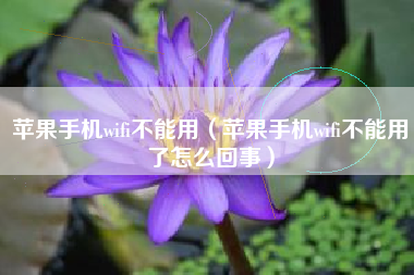 苹果手机wifi不能用（苹果手机wifi不能用了怎么回事）