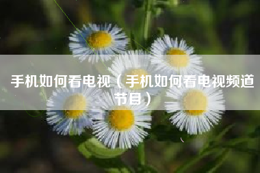 手机如何看电视（手机如何看电视频道节目）