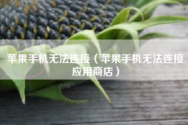 苹果手机无法连接（苹果手机无法连接应用商店）