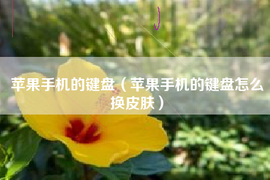 苹果手机的键盘（苹果手机的键盘怎么换皮肤）