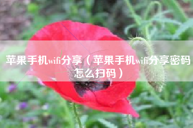 苹果手机wifi分享（苹果手机wifi分享密码怎么扫码）