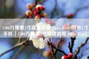 1300万像素5寸高清屏幕 Oppo Find5发布5寸手机「1300万像素5寸高清屏幕 Oppo Find5发布」